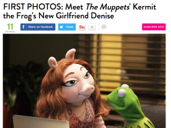 sparklesblue:  buzzfeedgeeky:    I see you Kermit. Once you made that Lipton money, you traded in Miss Piggy for a younger and more botoxed version. #thesefrogsaintloyal   #thesefrogsaintloyal got me crying