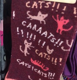 cyanophore:  kuttithevangu:  These socks know what they are about  Oh my effing god   @autisticsouda