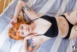Suicideburningangels:   Felis - This Bed Could Use A Secret Full Set And Download