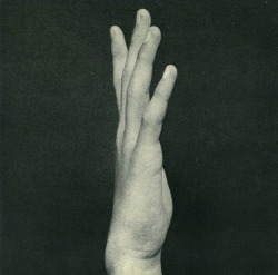 halogenic:  “Images of Reality” - Bruno Munari, 1977 