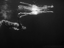 reborn-in-the-sea: The Creature From The Black Lagoon (1954)