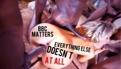 shannon4bbcpower:  breed-better:  BBC is more important than your family, friends and your life overall. Forget about all the distractions, focus on worshipping the Black gods.  Anything which isn’t helping make black men cum or empowering them is irrelev