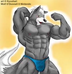 Hnggg Whut If Wolf Isn’t In The New Smash I Know Totally Isn’t Relevant To A