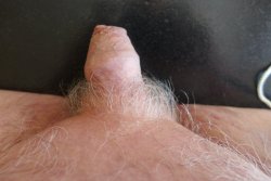 My Tiny Grey Haired Cock