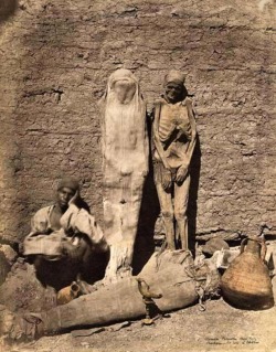 Félix Bonfils - Momies trouvées dans les tombeaux des rois à Thèbes, vers 1870.