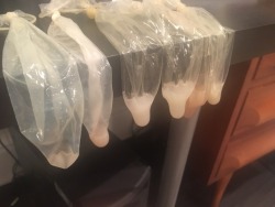 condomswapper:  bradbadboy:  One afternoon’s worth of cruising Scruff. 6 tops came over to fuck me. Not bad!  Follow my condomwapper-blog!http://condomswapper.tumblr.com/Send me yours or new condom-pics from other blogs.Thanks to my followers and the