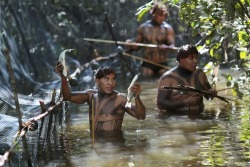 mvtionl3ss:   Yawalapiti tribe living traditionally in the Amazonian jungle of Brazil  