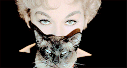 normajeanebaker:  Kim Novak in Bell, Book and Candle (1958) 