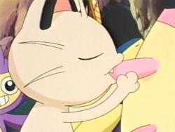 merasmus:  remember that episode where meowth sucked miltanks nipples 