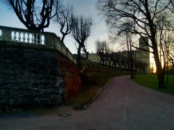 Gatchina park & palace. Russia