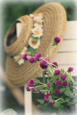 summer moments by lucia and mapp on Flickr.