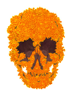 victoriousvocabulary:  CEMPASÚCHIL [aka CEMPAZÚCHIL] [noun] also called the flor de muertos (“flower of the dead”) in Mexico; the flower from the Tagetes erecta, the Mexican marigold, also called Aztec marigold, which is a species of the genus