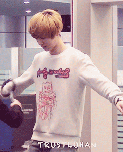 krisyeol:  Luhan @ the airport security  