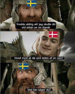 thehumon: I don’t know how many Swedes follow me, but I HAD to share this.  Gimli (in Swedish): I never thought I’d die next to a Dane.  Legolas (in Danish): How about dying next to a friend?  Gimli (in Swedish): What the fuck are you saying? 