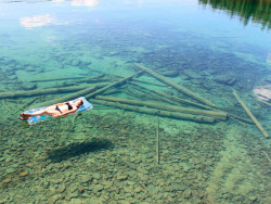 wheelhousemissoula:  The water is so clear on Flathead Lake that it looks amazingly shallow, even though in actuality it’s 370 feet deep.  Yeah I want to go there