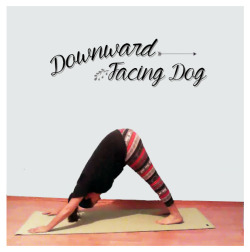 yogipeach:  » Take a peek to the pose of the week! → Downward Facing Dog! + How to do the pose, what NOT to do! Benefits and Tips! by Yoga by Peach (receive free!! helpful posts, subscribe to my newsletter!) 