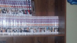 My bleach collection