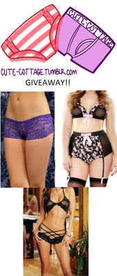cute-cottage:  cute-cottage:  Hey cuties! Here is the Cute-Cottage giveaway!! There’s no special reason for the giveaway, we just want to provide someone with cute underwear! Prize: โ worth of lingerie from Yandy.com (you can mix and match panties,