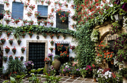 eartheld:  just-wanna-travel:  Cordoba, Spain   mostly nature