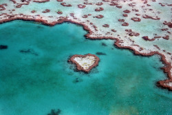 Eternal love (Heart’s Reef, a natural coral formation on the Great Barrier Reef in Australia)