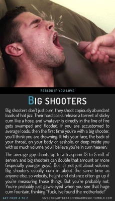 fritz-the-faggot:  sweetheartbeatoffroadmusic:  BIG SHOOTERS. More in this series: Gay From A to Z or view the full alphabetical index or check out my blog. Image source here.  wooow  I have one client that is a huge shooter and it is such a turn on