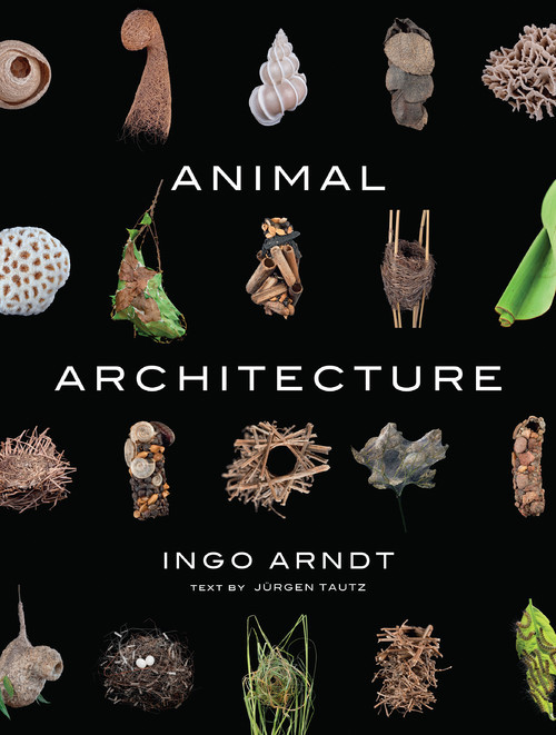archatlas:  Ingo Arndt Animal Architecture “Every day, all over the world, animals and insects set about the purposeful tasks of designing their homes, catching their prey, and attracting their mates. In the process they create gorgeous nests, shelters,