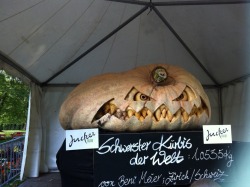 My favorite pumpkin carving at this year’s Kürbisausstellung