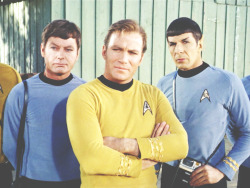 and then one day, out of no where, with no fore thought or intent, I had captain Kirk&rsquo;s haircut.
