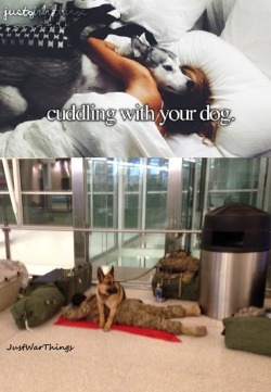 justwarthings:  A military working dog keeps a watch over his sleeping handler at an airport.