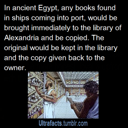 ultrafacts:  aussietory:  third-way-is-best-way:  tuxedoandex:  kvotheunkvothe:  ultrafacts:  Source For more facts follow Ultrafacts  EVERY TIME SOMEONE BRINGS UP THE LIBRARY OF ALEXANDRIA I GET SO ANGRY.  but why  Because it got burned. All of that