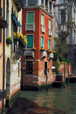 allthingseurope:  Venice (by vince42)
