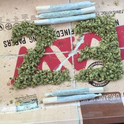 My birthday is tomorrow ^.^   *this is not my pic it&rsquo;s a fan sent pic 💚   #bud #cannabis #ganjagirl #grass #highhopes #joints #kush #stoner #weed
