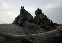 Militaryarmament:  U.s Army Rangers With The Afghan-International Security Force