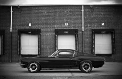 musclecarpower:  Mustang Fastback
