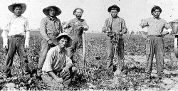 Todayinlaborhistory:  Today In Labor History, February 11, 1903:  Japanese And Mexican