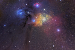 the-science-llama:  Reflection and Emission Nebulas—