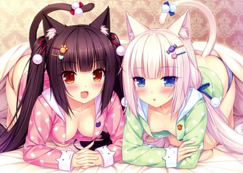 Porn nekodata:  For neko fans and discussion join photos
