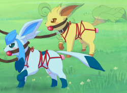 doyourpokemon:  These two sure do love being walked every day.