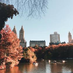 sophiejungnyc:  I could sit here all day #autumn (at Central Park)