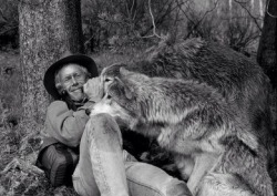 m-orbidden:  Wolves get a bad rap in folklore, but Jim and Jamie Dutcher spent six years (1990-1996) living among them to prove wolves aren’t big bad guys. Living without electricity, running water, radio or phones, based on a yurt near Idaho’s Sawtooth
