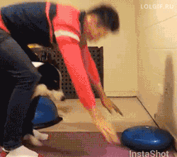 busy-busybusy:motivatingsami:I just love the dog in the background. Like yeaaah human wooooooum the dog trying to do a handstand though? like everything about this gif is perfect.omfg x3
