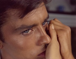lotuskiss:wehadfacesthen:Alain Delon as Tom Ripley in Plein soleil   AKA: Purple Noon  (Rene Clement, 1960), a French film based on Patricia Highsmith’s novel The Talented Mr. Ripley Trop belle pour vivre…. Joue pour moi
