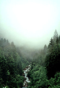 lori-rocks:  mist over the alps… by martin