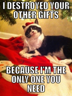 thedailymeme:  Overly Attached Christmas