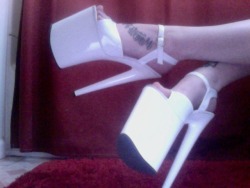 lolita-syndrome:  New work shoes. 8” Pleaser Flamingo style. I’m in love.