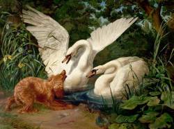 art-and-things-of-beauty:    F. Sigmund Lachenwitz (1820-1868) - Two Swans Startled by a Hound. Oil on canvas, 117 x 160 cm. 1846.   