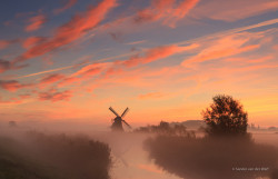 reagentx:  Dutch sky by sandervanderwerf | http://500px.com/photo/48398044 Colorful and foggy sunrise in the Dutch countryside. Again at one of my favorite locations near Groningen. Used a LEE ND 0.6 hard grad filter on the sky. 