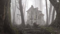 blo0delf:  abandoned house in the woods 