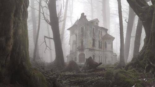 XXX blo0delf:  abandoned house in the woods  photo