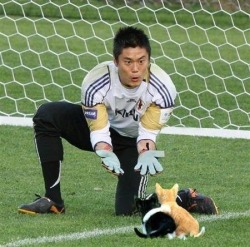 volcainist:Goalkeepers’ balls get photoshopped into cats.
